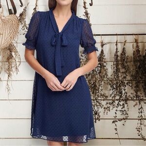 SALE | DKNY Sheer Swiss Dot Overlay with Tie Neck Shift Dress